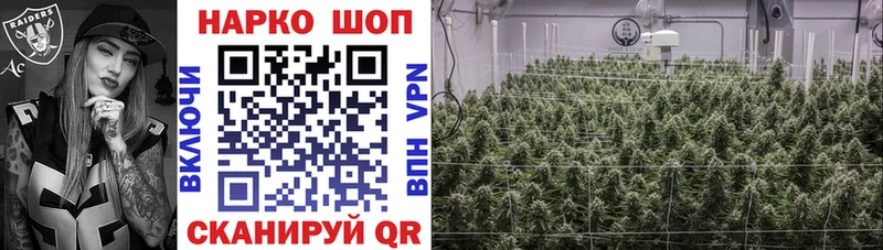Купить наркотики Облучье Гашиш  Псилоцибиновые грибы  APVP  АМФЕТАМИН  блэк спрут tor  Марихуана  Меф мяу мяу 