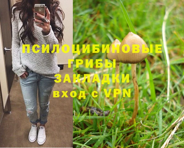 MDMA Медногорск