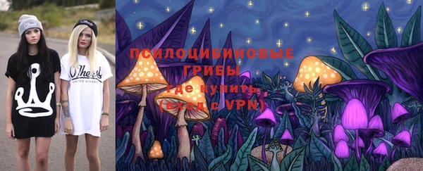 apvp Михайловск