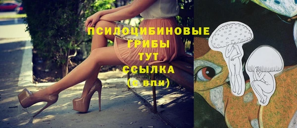 MDMA Медногорск